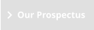 Our Prospectus