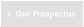Our Prospectus